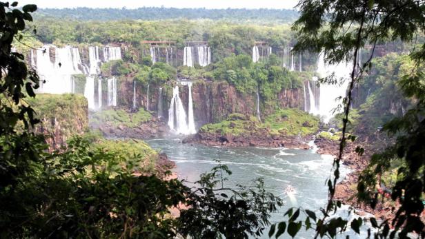 Die Iguazú-Wasserfälle stürzen in mehreren Kaskaden in den Fluss, umgeben von üppigem Grün.