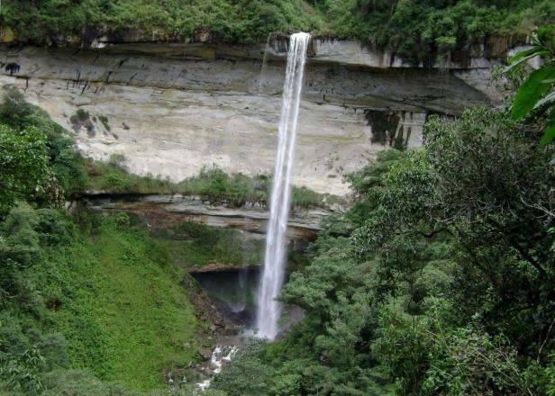 Ein hoher Wasserfall stürzt von einer Klippe in üppige Vegetation.