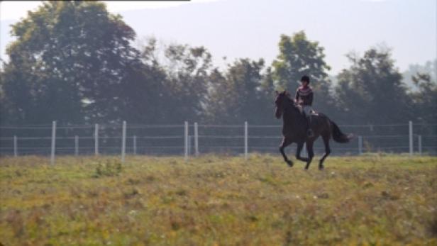Eine Reiterin galoppiert mit ihrem Pferd über eine Wiese.