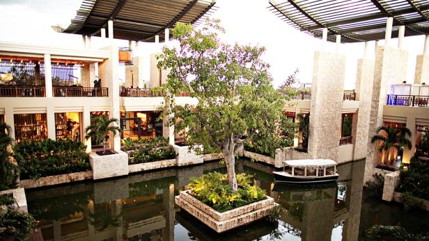 Ein Baum wächst auf einer Plattform inmitten eines Wassergrabens in einem Hotel.