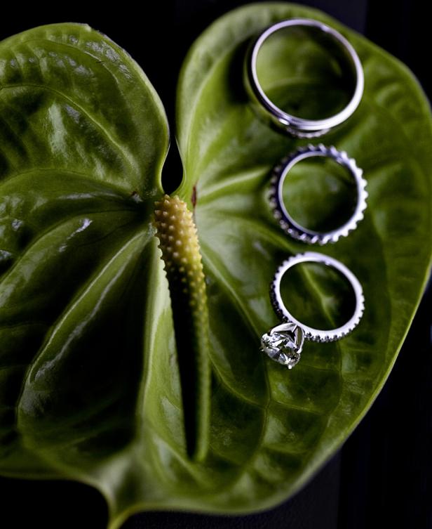 Drei Eheringe liegen auf einem grünen Anthuriumblatt.