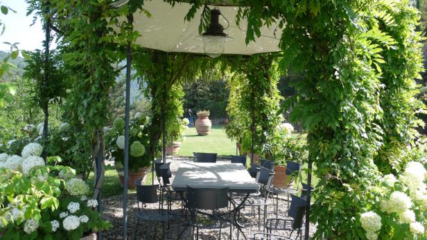 Ein Gartentisch und Stühle unter einer mit Grün bewachsenen Pergola.