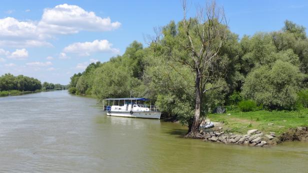Flusskreuzfahrt zum Delta: Mythos Donau