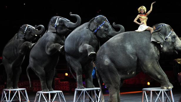 Zirkus Ringling Bros. stellt nach 146 Jahren den Betrieb ein