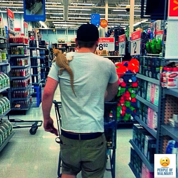 Ein Mann schiebt einen Einkaufswagen mit einem Bartagamen auf seiner Schulter durch einen Supermarkt.