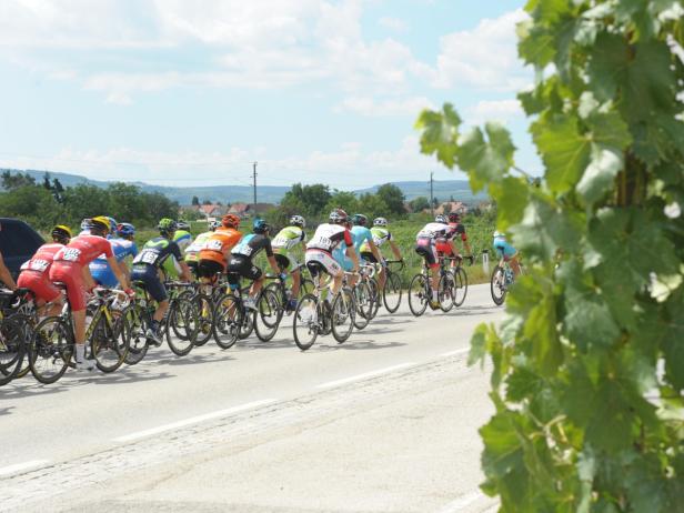 ÖSTERREICH-RADRUNDFAHRT: 1. ETAPPE / TULLN - SONNT Eine Gruppe Radfahrer fährt ein Rennen auf einer Landstraße.