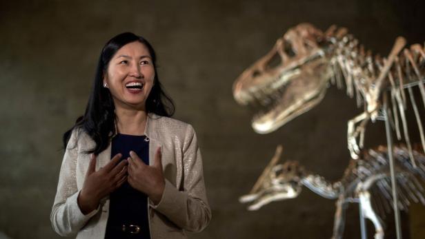Dinosaurier-Schädel verschwunden: Mongolei kämpft gegen Fossiliendiebe
