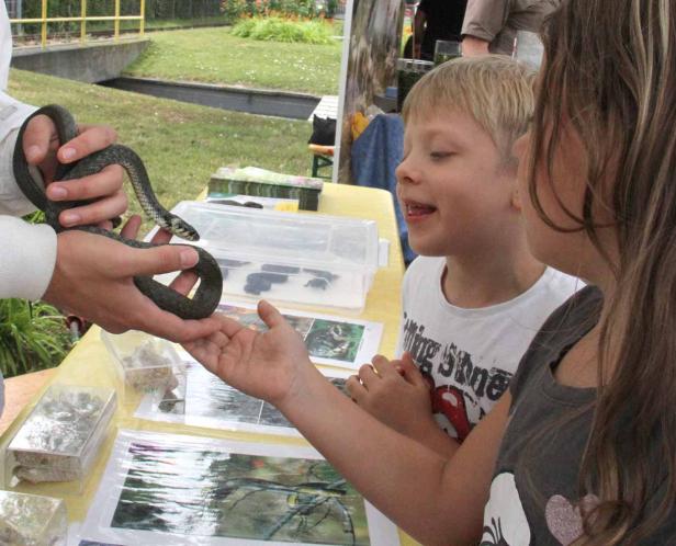 Ein Kind betrachtet fasziniert eine Schlange, die von einer Person gehalten wird.