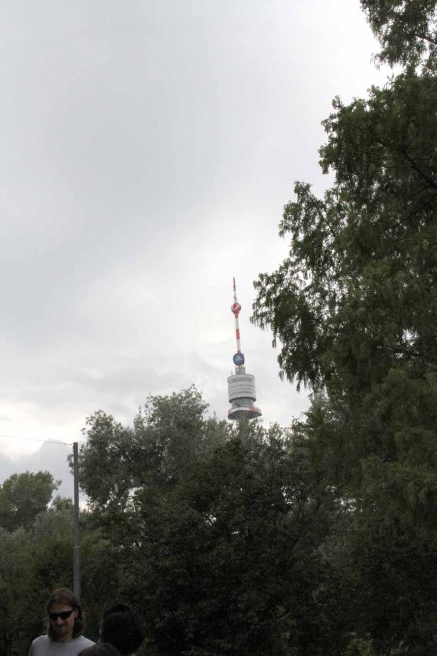 Der Wiener Donauturm ragt hinter Bäumen in den grauen Himmel.