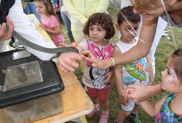 Eine Schlange wird Kindern auf einem Tisch gezeigt.