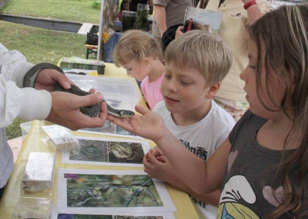 Ein Mann hält eine Schlange, die ein Kind berührt.