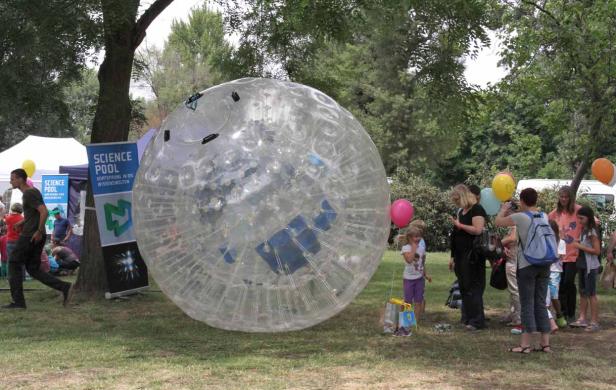 Eine große, transparente Zorbing-Kugel steht auf einer Wiese neben Zuschauern.