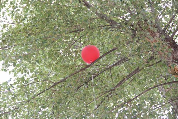 Ein roter Ballon hat sich in den Ästen eines Baumes verfangen.