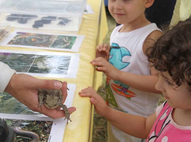 Zwei Kinder betrachten einen Frosch, der in einer Hand gehalten wird.