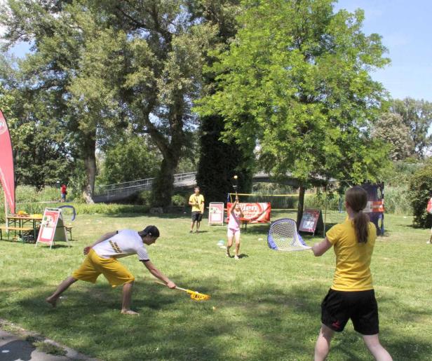 Eine Gruppe von Menschen spielt Ball auf einer grünen Wiese.