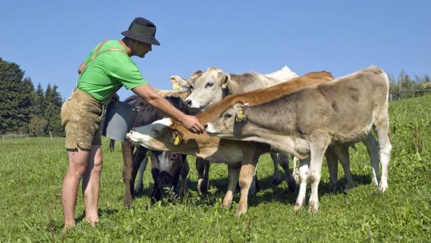 Grünes Österreich: Zurück zur Natur