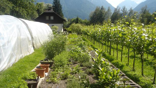 Grünes Österreich: Zurück zur Natur