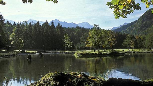 Grünes Österreich: Zurück zur Natur