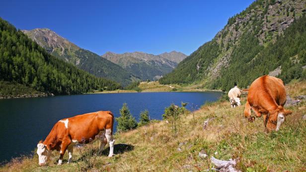 Ausgezeichnete Wanderwege