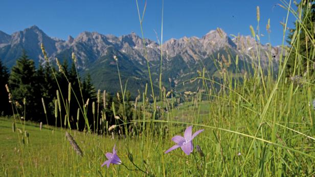 Ausgezeichnete Wanderwege