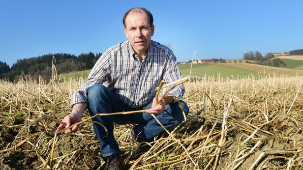 Ein Landwirt hockt auf einem Feld mit Ernterückständen und hält Pflanzenreste in der Hand.
