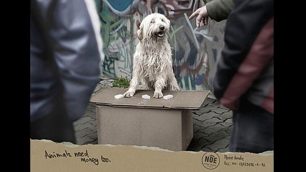 Tierisch lustig: Wenn Tiere Werbung machen