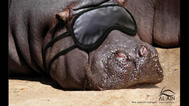 Tierisch lustig: Wenn Tiere Werbung machen