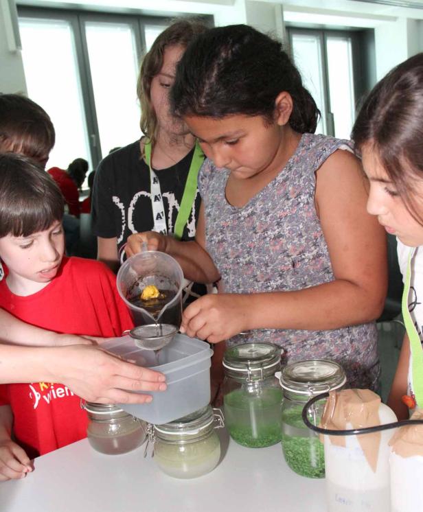 Kinder filtern eine Flüssigkeit in Gläser mit unterschiedlichen Inhalten.