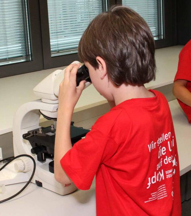 Ein Junge in einem roten T-Shirt blickt durch ein Mikroskop.