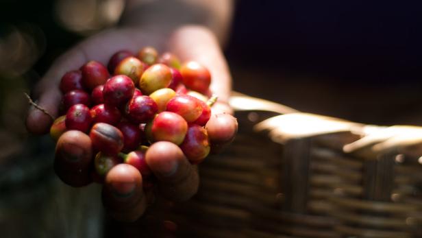 Fair Trade: "Geiz ist nicht mehr geil"