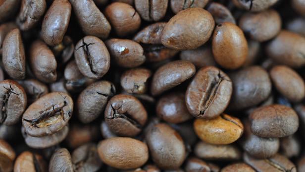 Kaffeesatz als Gartendünger zu verschenken