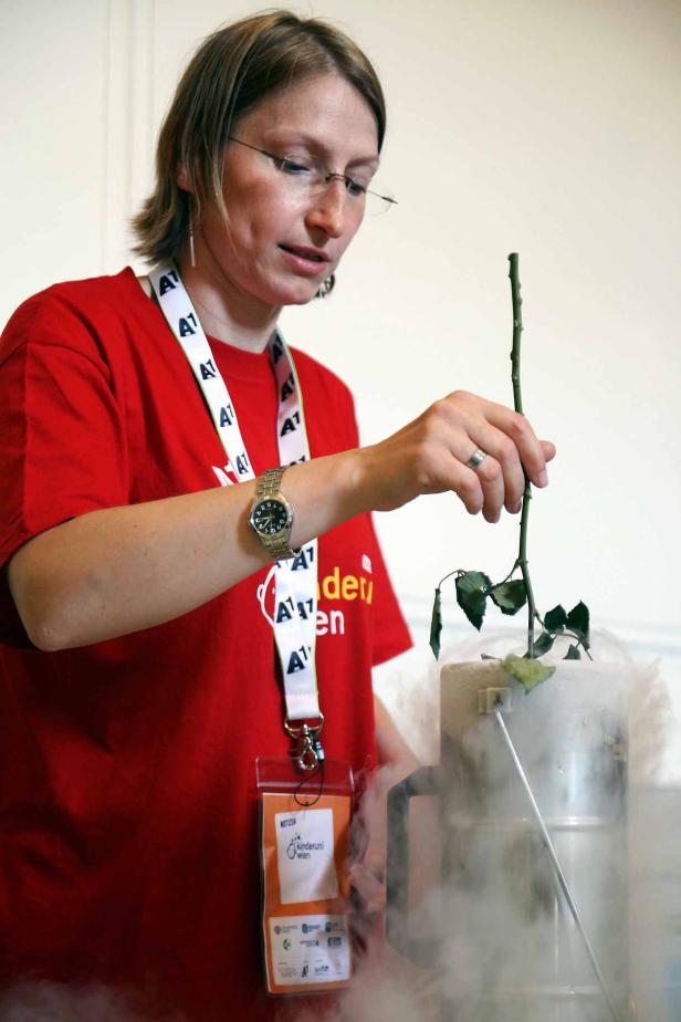 Eine Frau hält einen Rosenstiel über einen Behälter mit flüssigem Stickstoff.