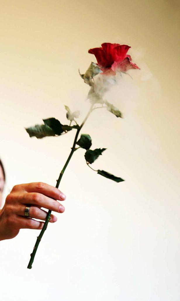 Eine Hand hält eine rote Rose, die von Rauch umgeben ist.