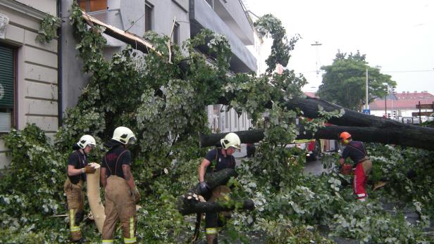 Feuerwehrleute beseitigen einen umgestürzten Baum, der ein Gebäude beschädigt hat.