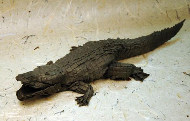 Ein Krokodil aus Papier liegt auf einem strukturierten Untergrund.
