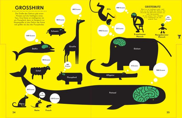 Eine Infografik, die die Gehirngrößen verschiedener Tiere im Vergleich darstellt.