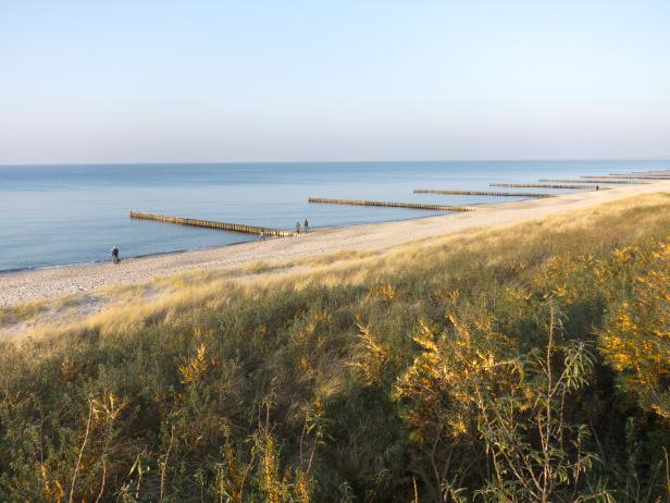 Blick über Dünen auf einen Strand mit Buhnen und wenigen Menschen.