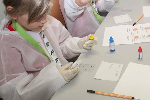 Ein Mädchen im Laborkittel führt einen Blutgruppentest durch.