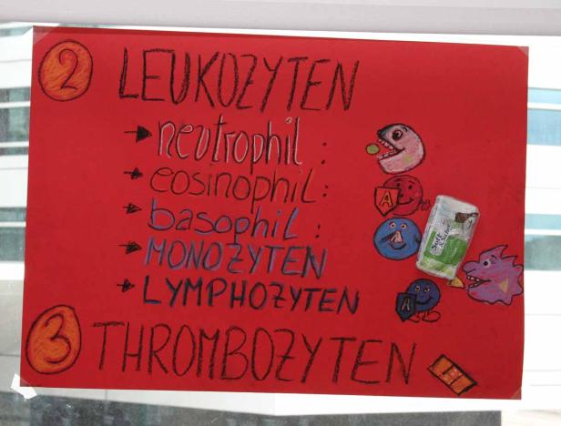 Eine rote Tafel mit einer Liste von Leukozyten und Thrombozyten, illustriert mit Zeichnungen.