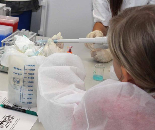 Eine Person im Labor, die mit einer Pipette eine Flüssigkeit in ein Reagenzglas gibt.