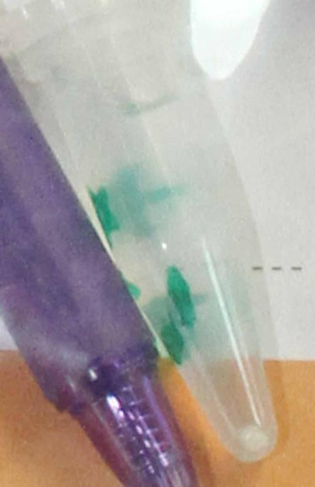 Zwei Reagenzgläser, eines mit einer violetten und das andere mit einer grünen Flüssigkeit, stehen nebeneinander.