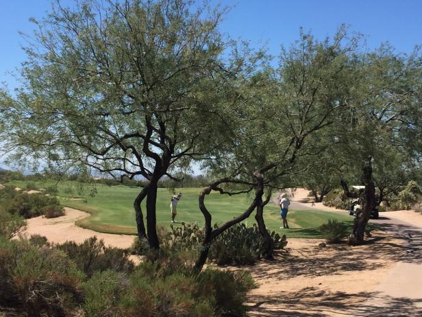 Scottsdale: Die schönsten Golfplätze