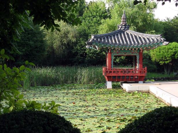 Ein traditioneller koreanischer Pavillon steht an einem Teich voller Seerosenblätter.