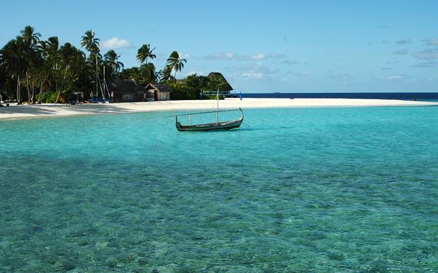 Ein traditionelles Dhoni-Boot ankert vor einem tropischen Strand mit Palmen und Hütten.