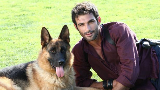 Ein Mann liegt mit seinem Deutschen Schäferhund im Gras.