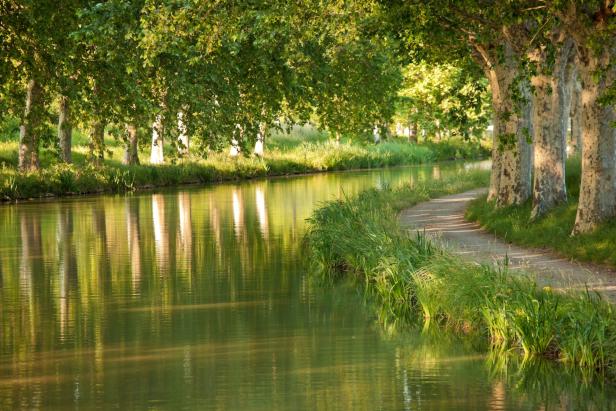©locaboat_Midi_Allee de platanes_PAL68653.jpg