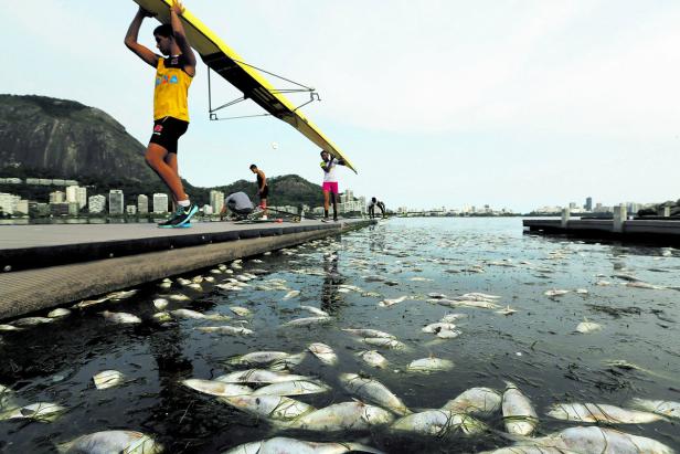 Ruderer tragen ein Boot an einem Ufer, an dem viele tote Fische im Wasser liegen.