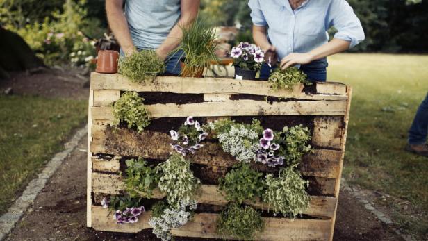 Der Kult mit dem Garten