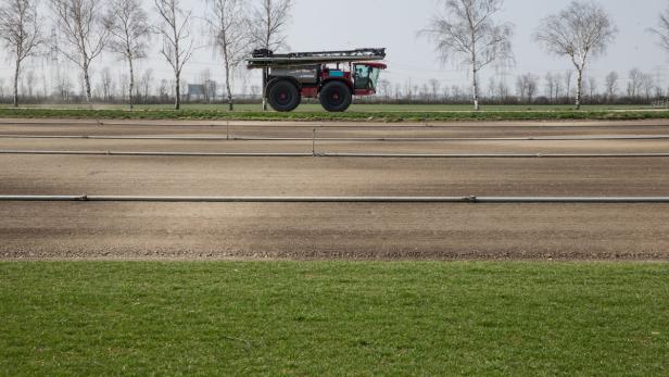 Der Rasen von der Rolle: Gartenglück aus dem Marchfeld