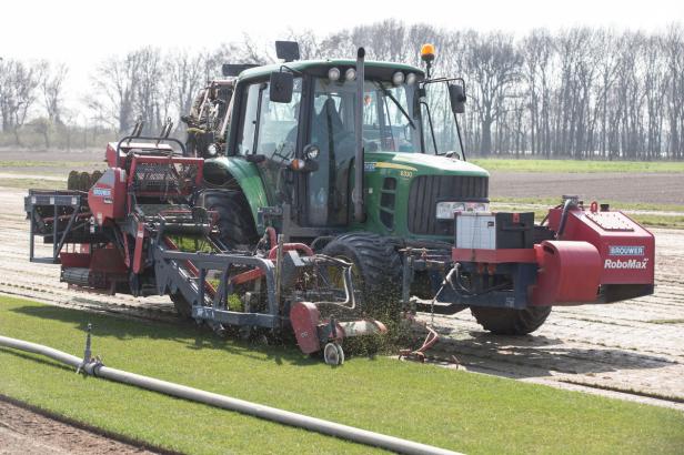 Der Rasen von der Rolle: Gartenglück aus dem Marchfeld